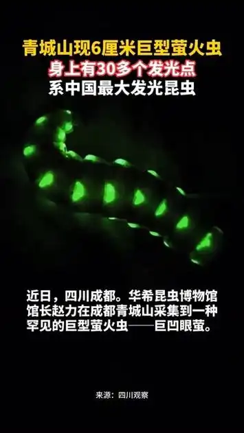 青城山惊现巨型萤火虫，中超赛场暗藏“发光”新星